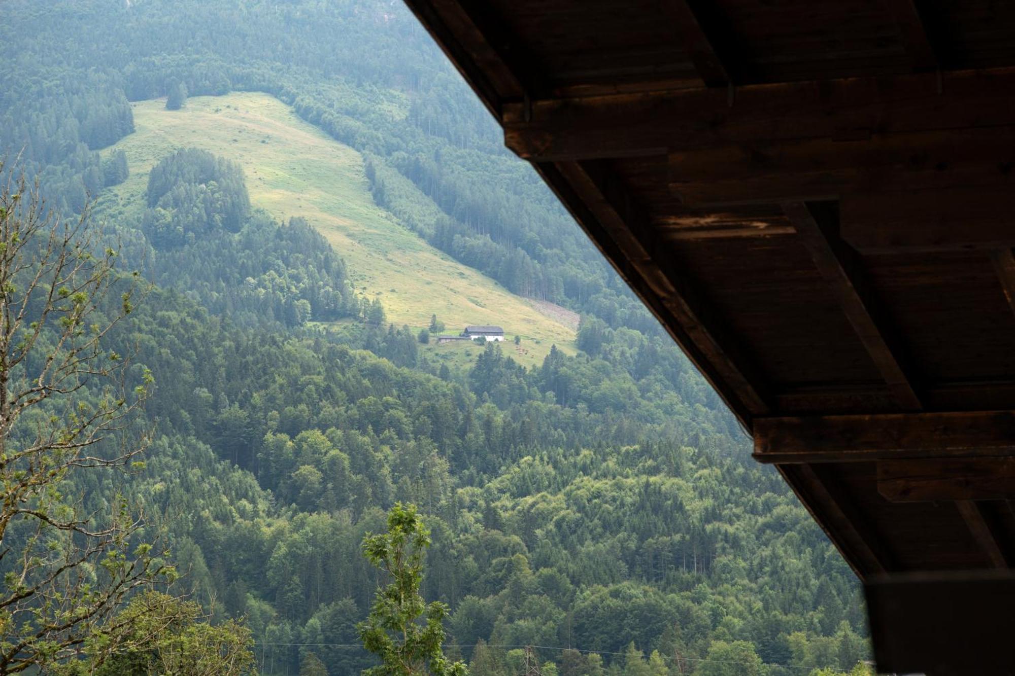 Wolfgangsee Appartements ストローブル エクステリア 写真
